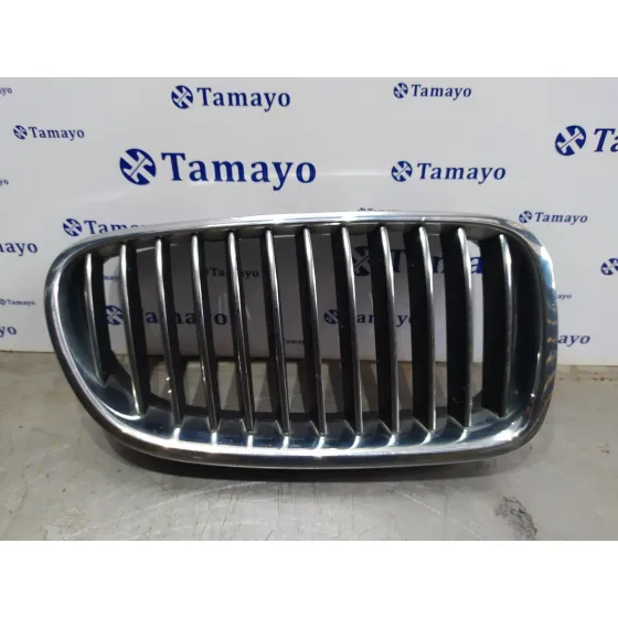 Rejilla Delantera para Bmw Serie 5 Lim. (F10)