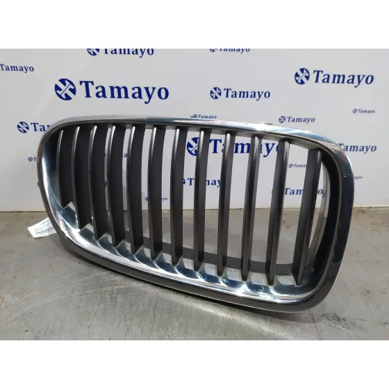 Rejilla Delantera para Bmw Serie 5 Lim. (F10)