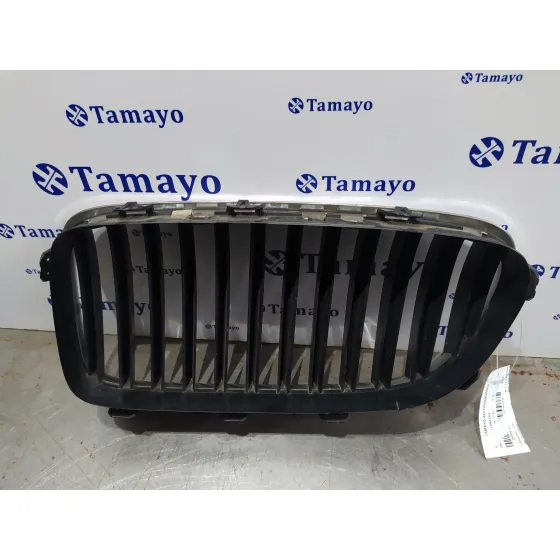 Rejilla Delantera para Bmw Serie 5 Lim. (F10)