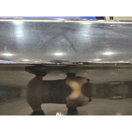 Puerta Trasera Derecha para Bmw Serie 5 Lim. (F10)