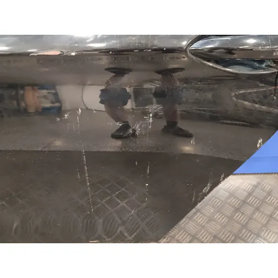 Puerta Trasera Izquierda para Bmw Serie 5 Lim. (F10)