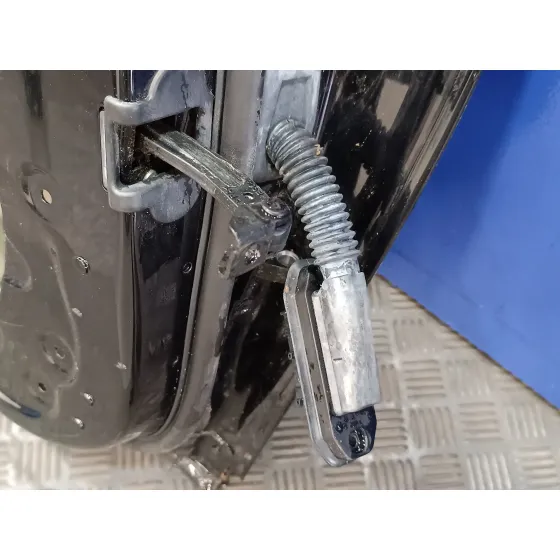 Puerta Trasera Izquierda para Bmw Serie 5 Lim. (F10)