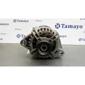 Alternador para Mg Serie 45 (Rt)
