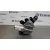 Motor Limpia Trasero para Nissan Qashqai (J11)