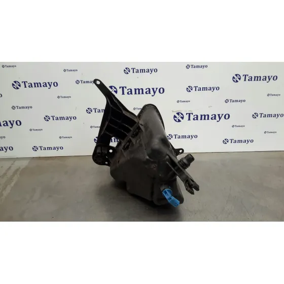Deposito Expansion para Bmw Serie 5 Lim. (F10)