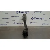 Potenciometro Acelerador para Nissan Qashqai (J11)