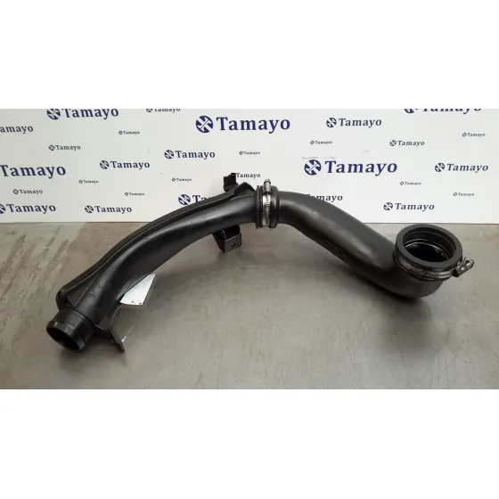 Tubo para Peugeot 207