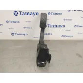 Potenciometro Pedal para Seat Ibiza (6L1)