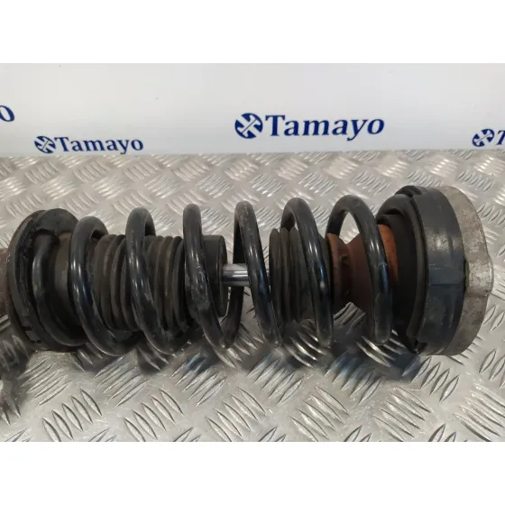 Amortiguador Delantero Derecho para Bmw Serie 5 Lim. (F10)