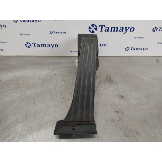 Potenciometro Acelerador para Bmw Serie 3 Cabrio (E93)