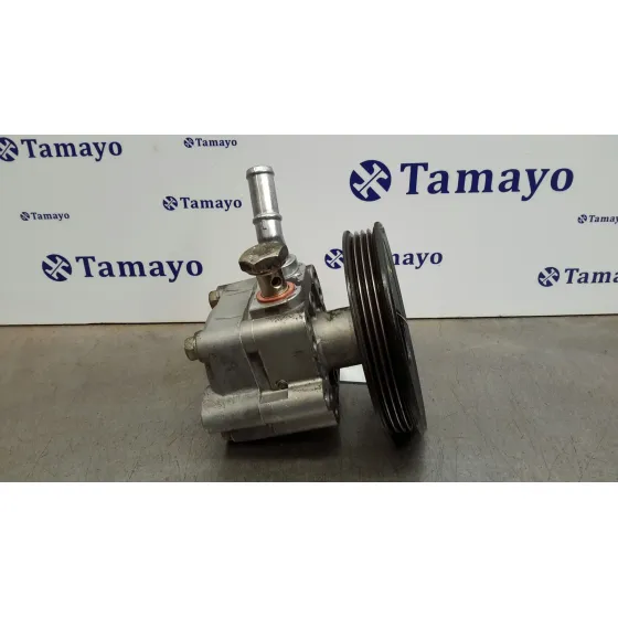 Bomba Direccion para Nissan Almera (N16/E)