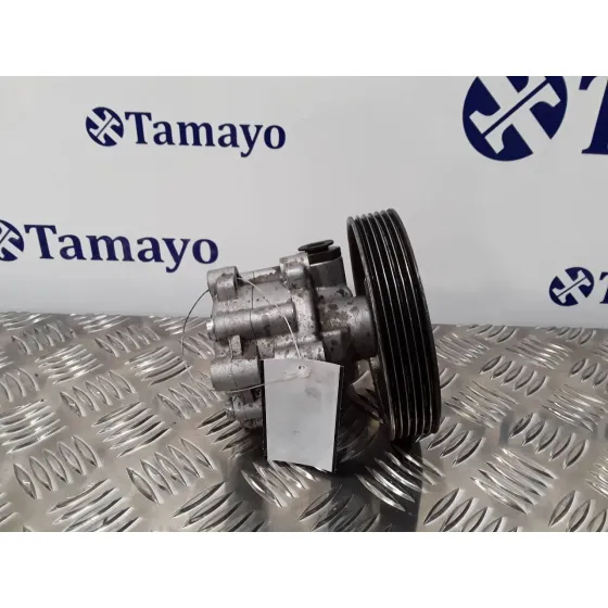 Bomba Direccion para Fiat Ducato Caja Cerrada 11 (Desde 03.02)
