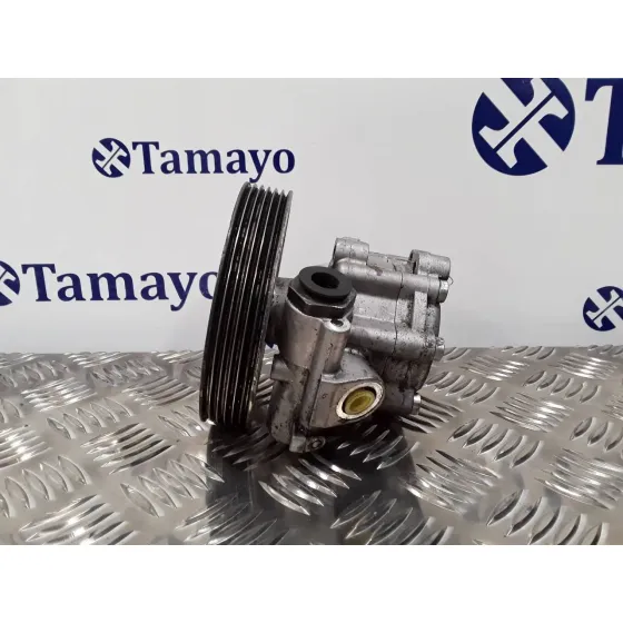 Bomba Direccion para Fiat Ducato Caja Cerrada 11 (Desde 03.02)