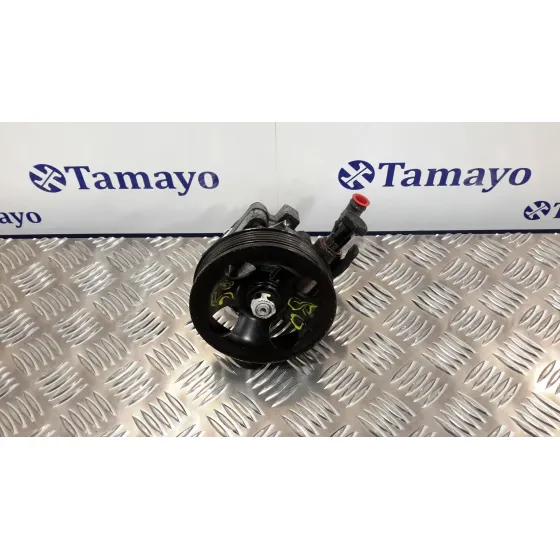 Bomba Direccion para Hyundai Santa Fe (Sm)