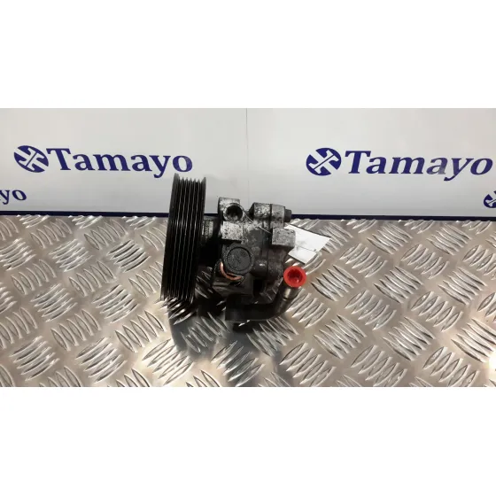 Bomba Direccion para Hyundai Santa Fe (Sm)