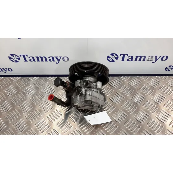 Bomba Direccion para Hyundai Santa Fe (Sm)