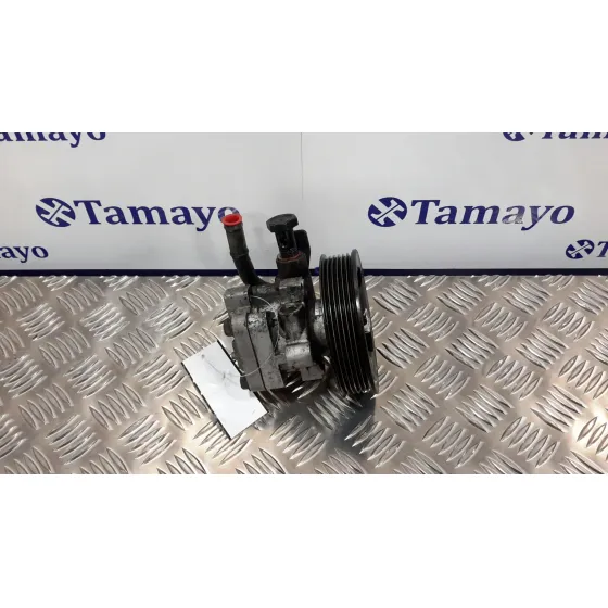 Bomba Direccion para Hyundai Santa Fe (Sm)