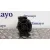 Alternador para Bmw Mini (R50,R53)