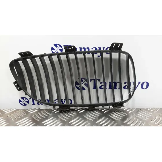 Rejilla Delantera para Bmw Serie 3 Cabrio (E93)