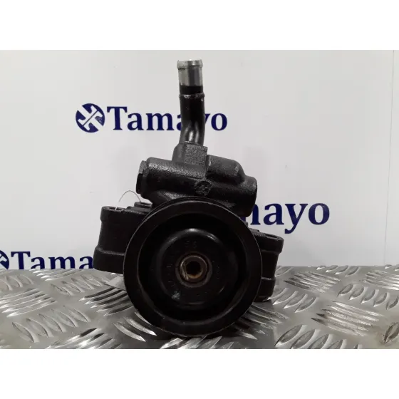 Bomba Direccion para Ford Fiesta (Cbk)