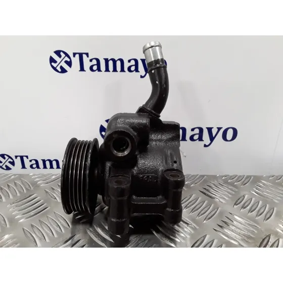 Bomba Direccion para Ford Fiesta (Cbk)