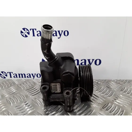Bomba Direccion para Ford Fiesta (Cbk)