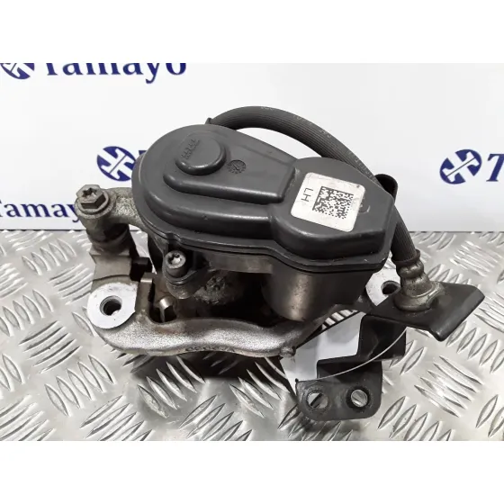 Pinza Freno Trasera Izquierda para Nissan Qashqai (J11)