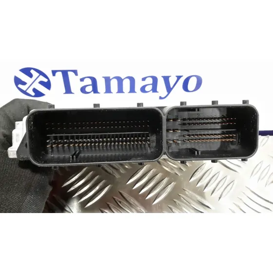 Centralita Motor Uce para Bmw Serie 1 Berlina (E81/E87)
