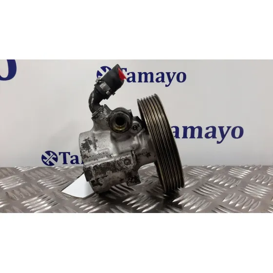 Bomba Direccion para Citroën Xsara Picasso
