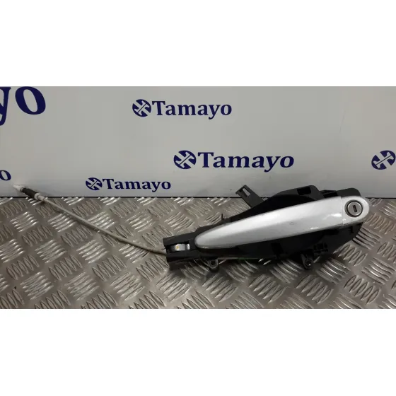 Maneta Exterior Delantera Izquierda para Bmw Serie 3 Cabrio (E93)