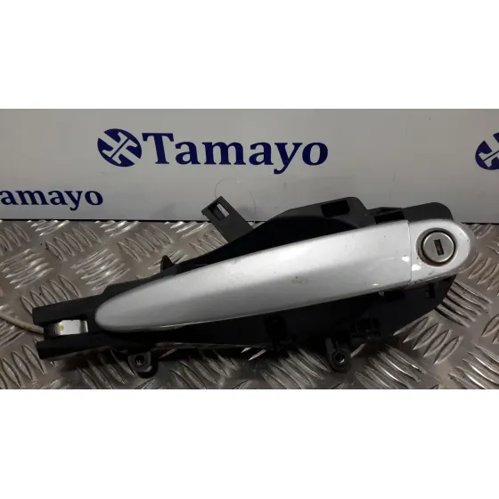 Maneta Exterior Delantera Izquierda para Bmw Serie 3 Cabrio (E93)