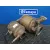 Catalizador para Seat Leon (5F1)