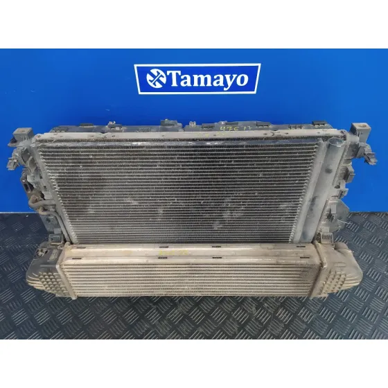 Intercooler para Land Rover Freelander (Lr2)