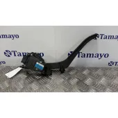 Potenciometro Pedal para Volkswagen Touareg (7L6)