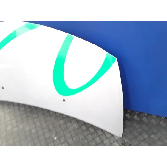 Capot para Renault Clio Iii