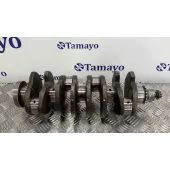 Ciguenal para Audi A3 (8P)
