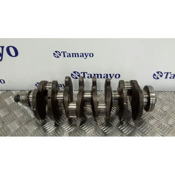 Ciguenal para Audi A3 (8P)