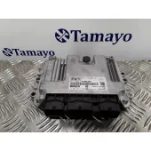 Centralita Motor Uce para Ford Focus Berlina (Cap)
