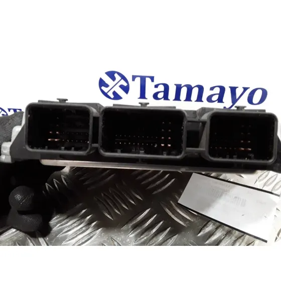 Centralita Motor Uce para Ford Focus Berlina (Cap)