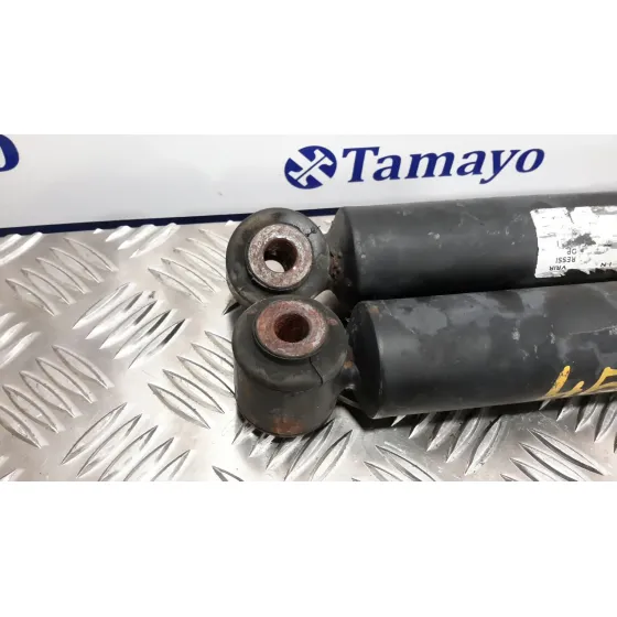 Juego Amortiguadores Trasero para Peugeot 208