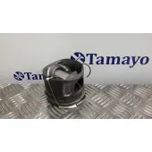 Piston para Peugeot Boxer Caja Cerrada Techo Elevado (Bat.3450)(333/335)(2007=>