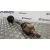 Transmision Delantera Izquierda para Peugeot Boxer Caja Cerr.techo Sobreelev.(Bat.4035)(335/440)(2007 =>