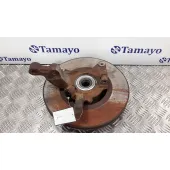 Mangueta Delantera Izquierda para Renault Scenic (Ja..)