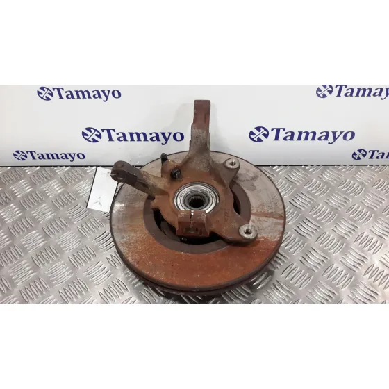 Mangueta Delantera Izquierda para Renault Scenic (Ja..)