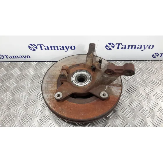 Mangueta Delantera Izquierda para Renault Scenic (Ja..)