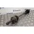 Transmision Delantera Derecha para Subaru Legacy Berl./Familiar B12 (Be/Bh)