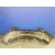 Paragolpes Trasero para Seat Toledo (5P2)