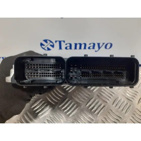 Centralita Motor Uce para Audi A4 Avant (8E)