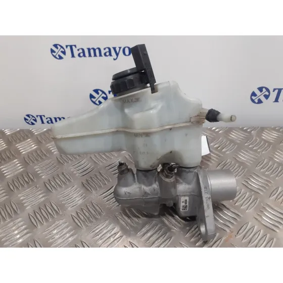 Bomba Freno para Volkswagen Passat Cc (357)