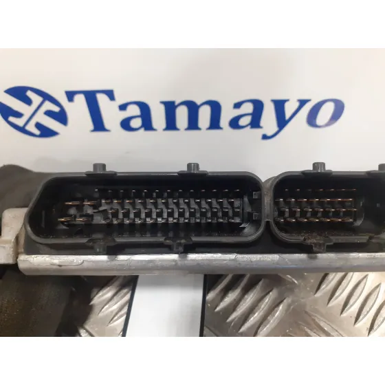Centralita Motor Uce para Volkswagen Polo (6R1)